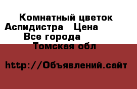 Комнатный цветок Аспидистра › Цена ­ 150 - Все города  »    . Томская обл.